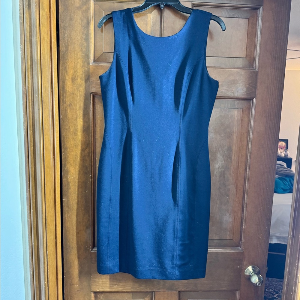 Banana Republic Blue Sleeveless Dress